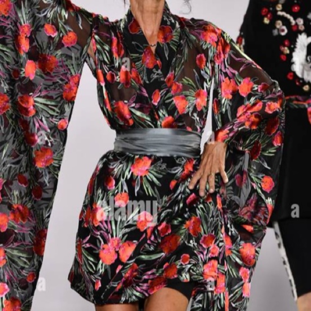Runway Silk Robe / Kimono Dress